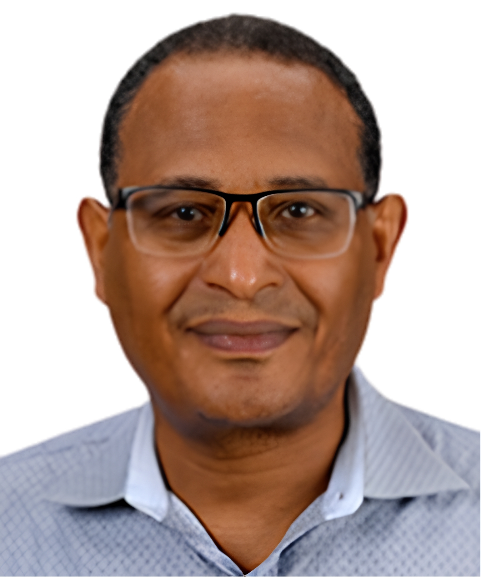 Prof. Dr. Alemayehu A. Gorfe